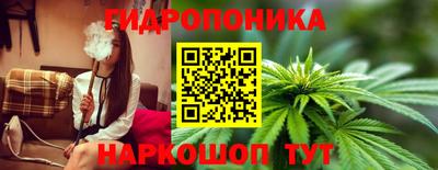 мяу мяу мука Будённовск