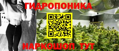 мяу мяу мука Будённовск
